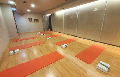 Hatha Yoga Bilbao